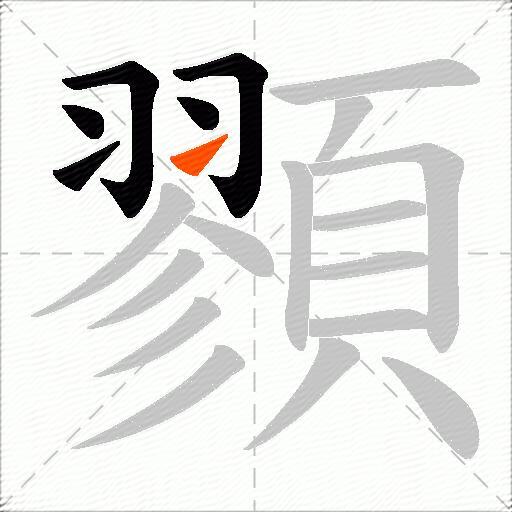 顟