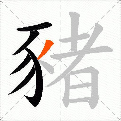 豬