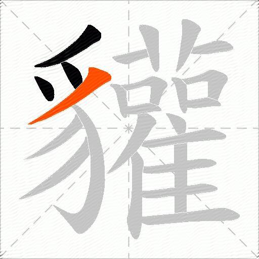 貛