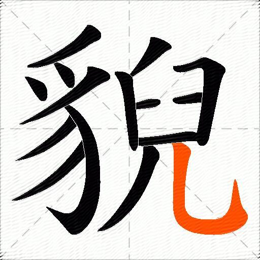 貎