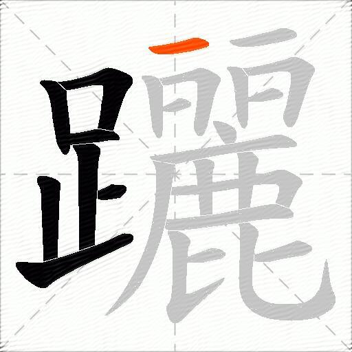 躧