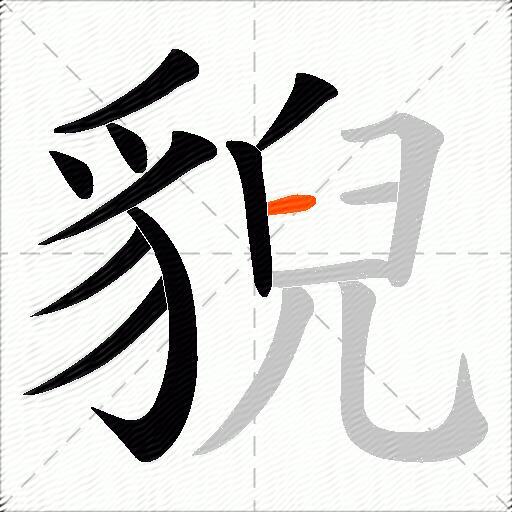 貎