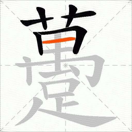 躉