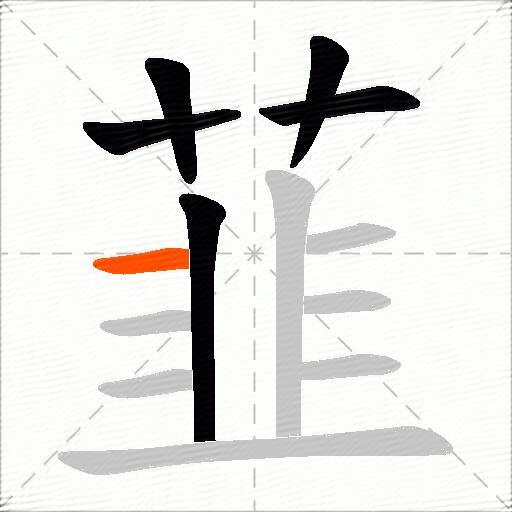 韮