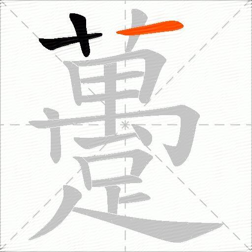 躉