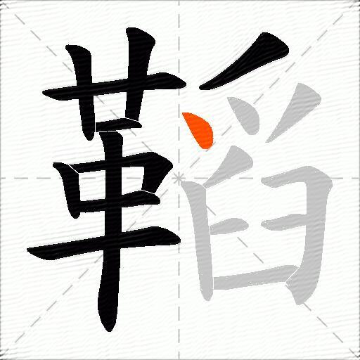 鞱
