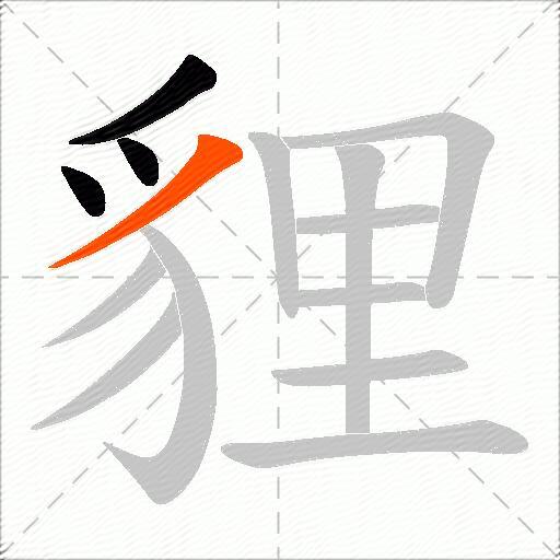 貍