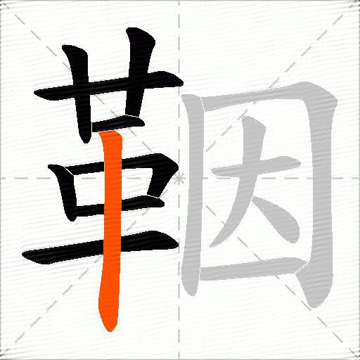 鞇