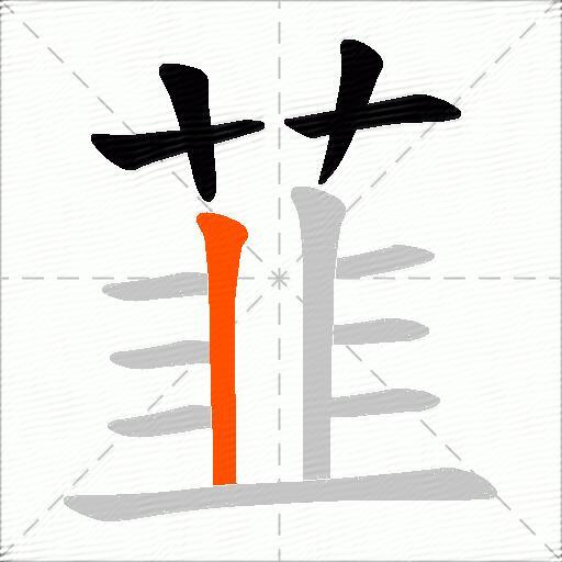 韮