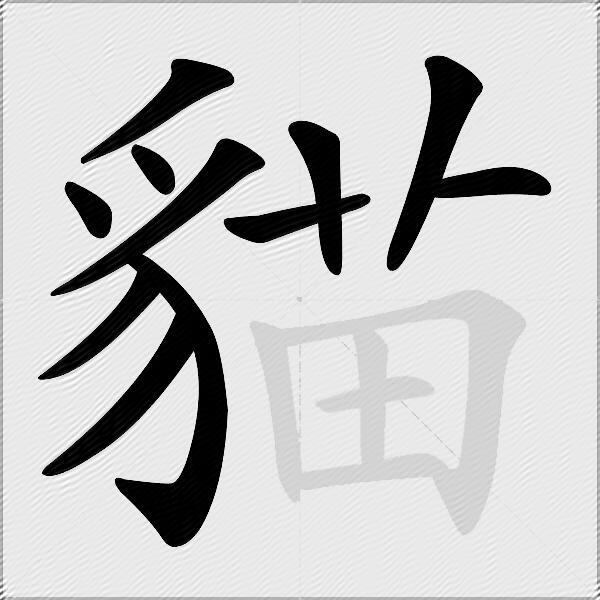 貓