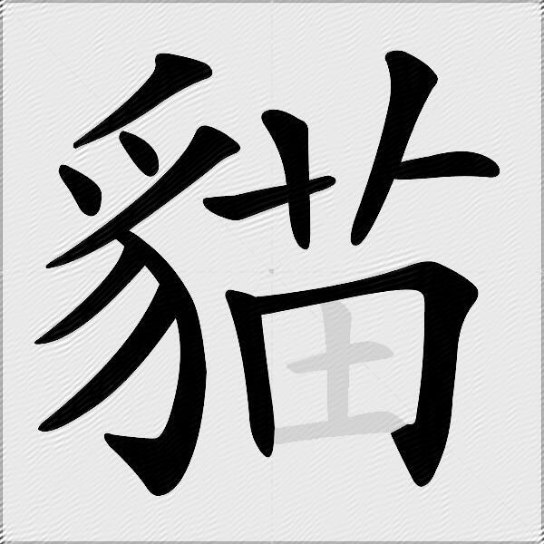 貓