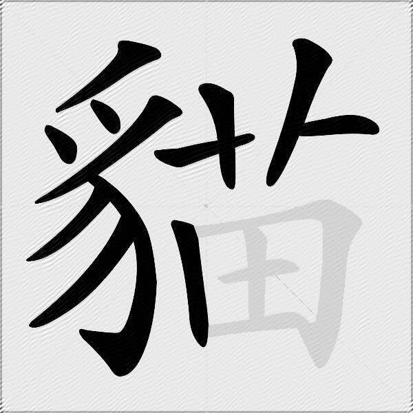 貓