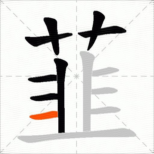 韮