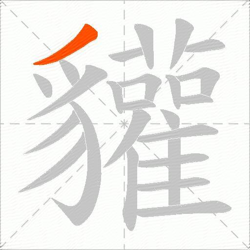 貛