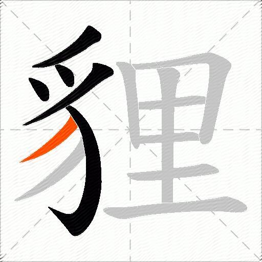 貍