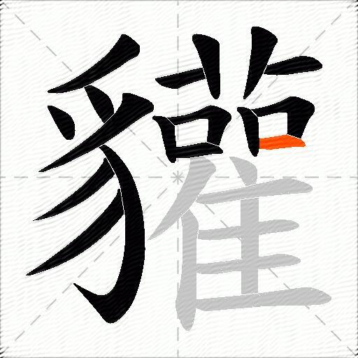 貛