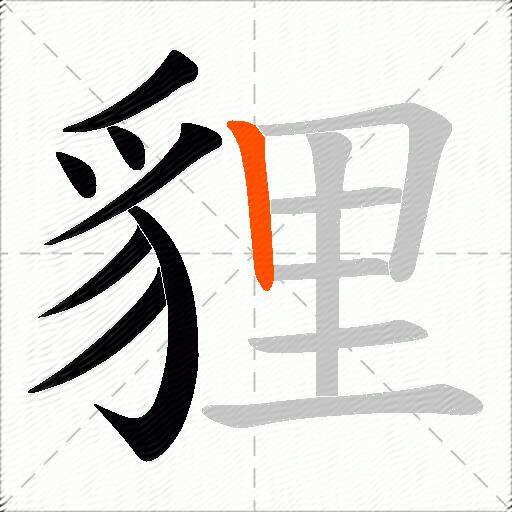 貍