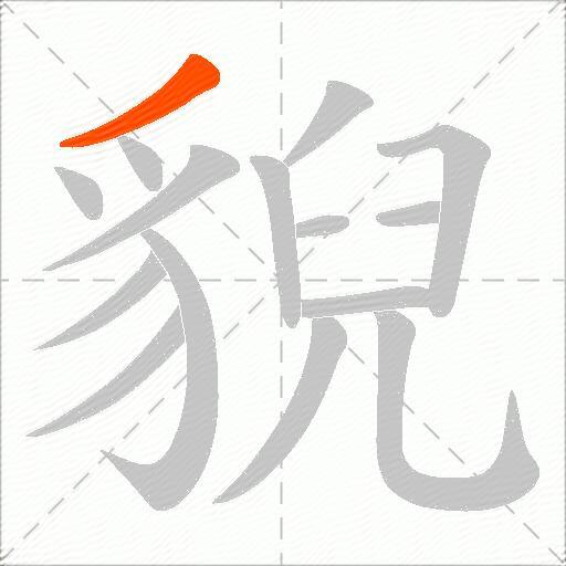貎