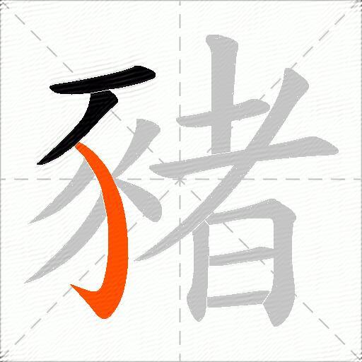 豬