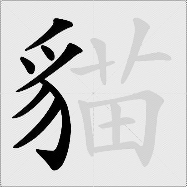 貓