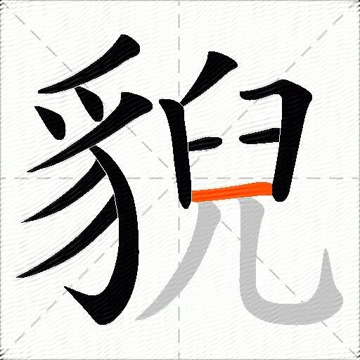 貎