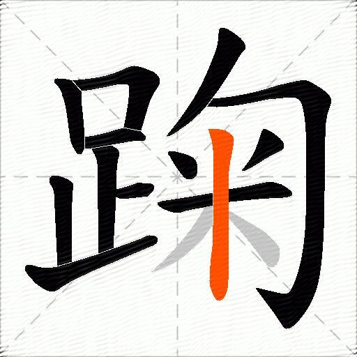 踘