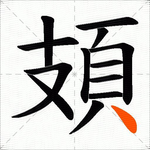 頍