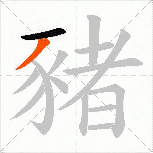 豬