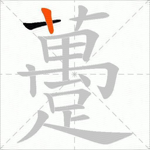 躉