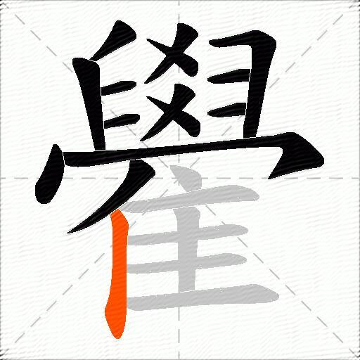 雤