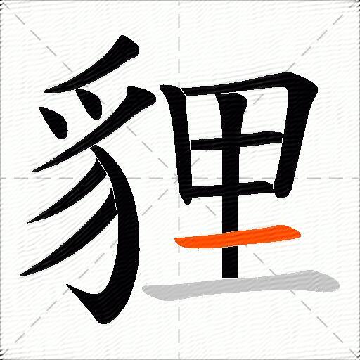 貍