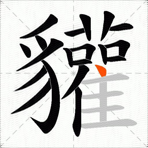 貛