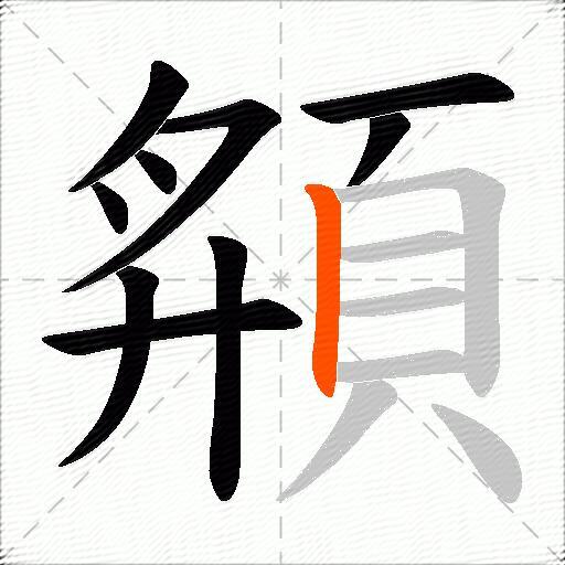 頯