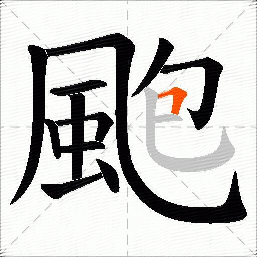 颮