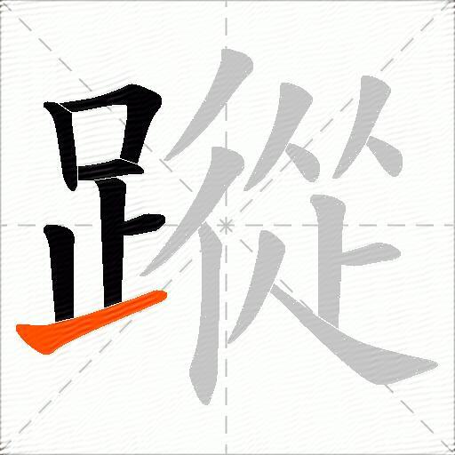 蹤