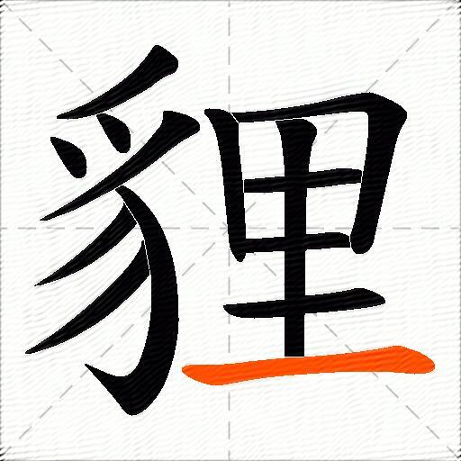 貍