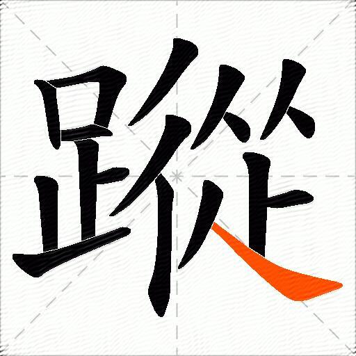 蹤