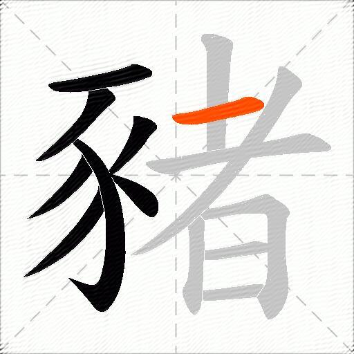豬