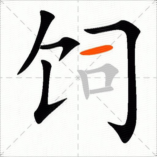 饲