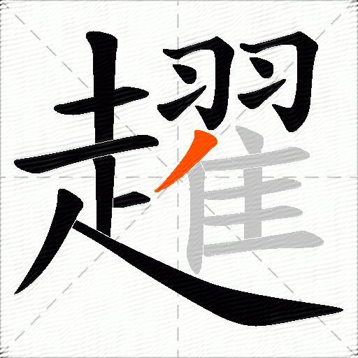 趯
