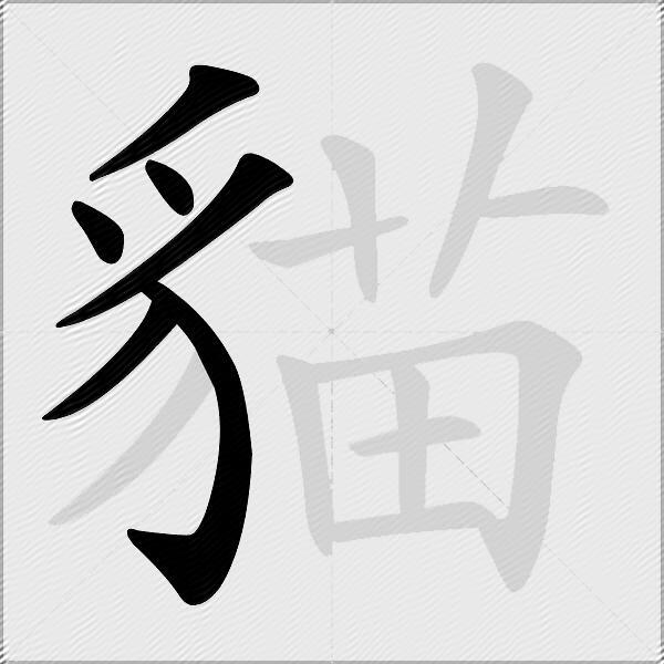 貓