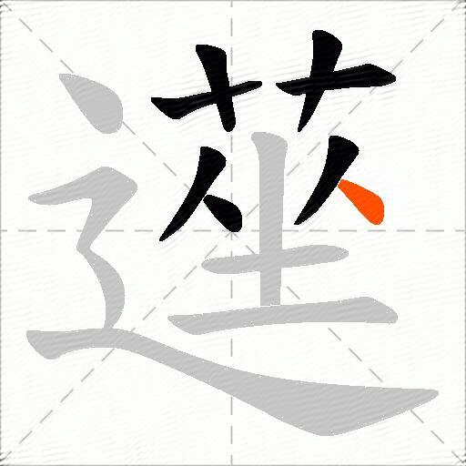 遳