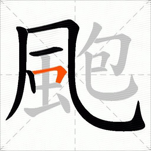 颮