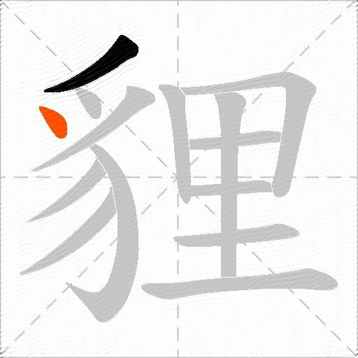 貍