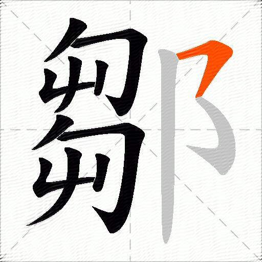鄒