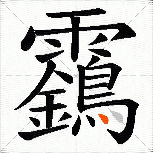 靎