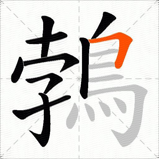 鵓