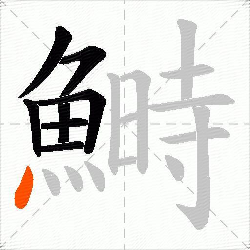 鰣