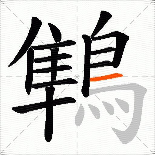 鶽