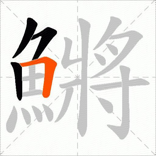 鱂